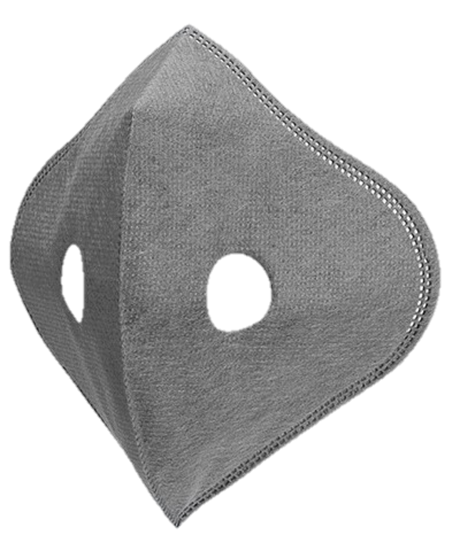 Replaceable Mask Filter